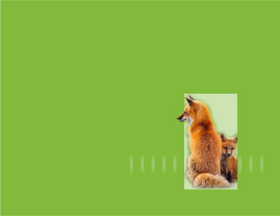 XAXA